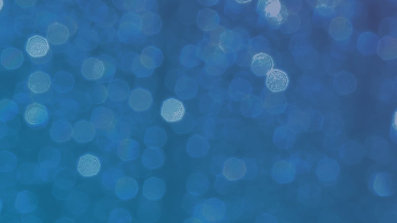 Voss Events: Drag Brunch